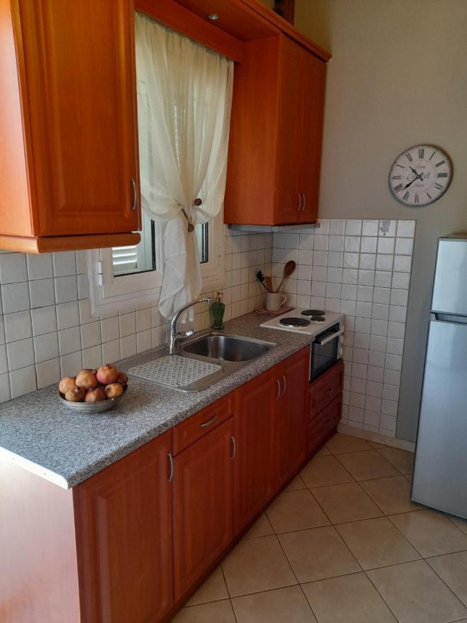 菲尼孔塔Katerina House公寓 外观 照片